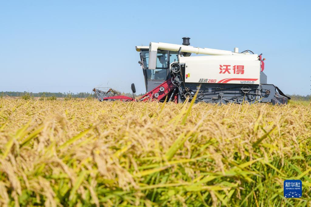 奔驰宝马游戏平台